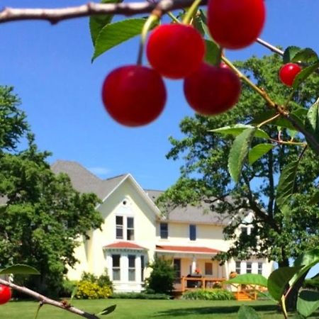 Country Hermitage Bed & Breakfast アクミー エクステリア 写真