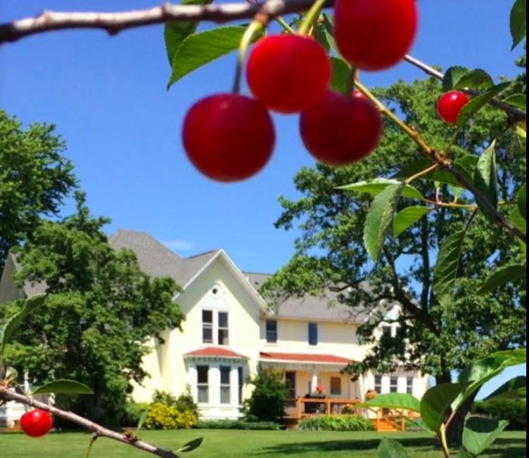 Country Hermitage Bed & Breakfast アクミー エクステリア 写真